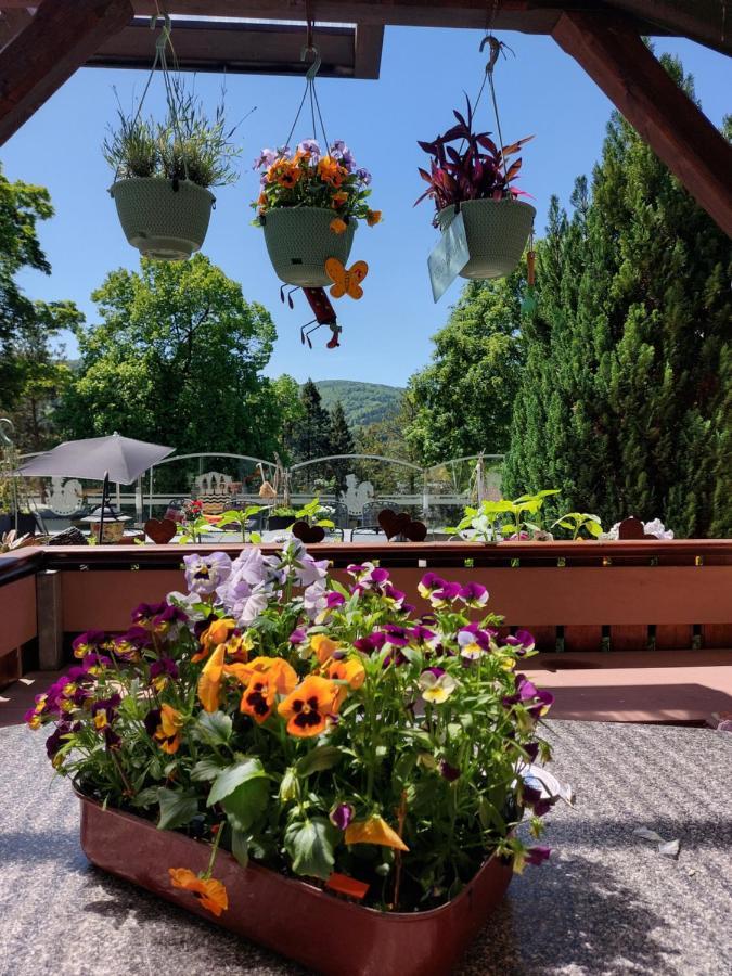 Hotel Zum Poppschen Gut Olbernhau Luaran gambar